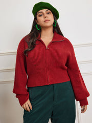 Solid Knit Polo Zipper Cardigan Curve & Plus