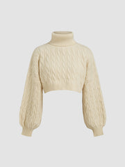 Cable Knit Turtleneck Solid Long Sleeve Crop Top