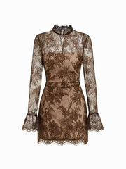Lace Stand Collar Long Sleeve Straight Mini Dress