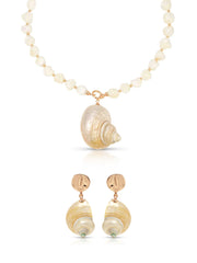 Sunken Treasure Shell Set