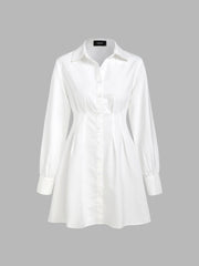 Button Up Collar Long Sleeve Mini Dress