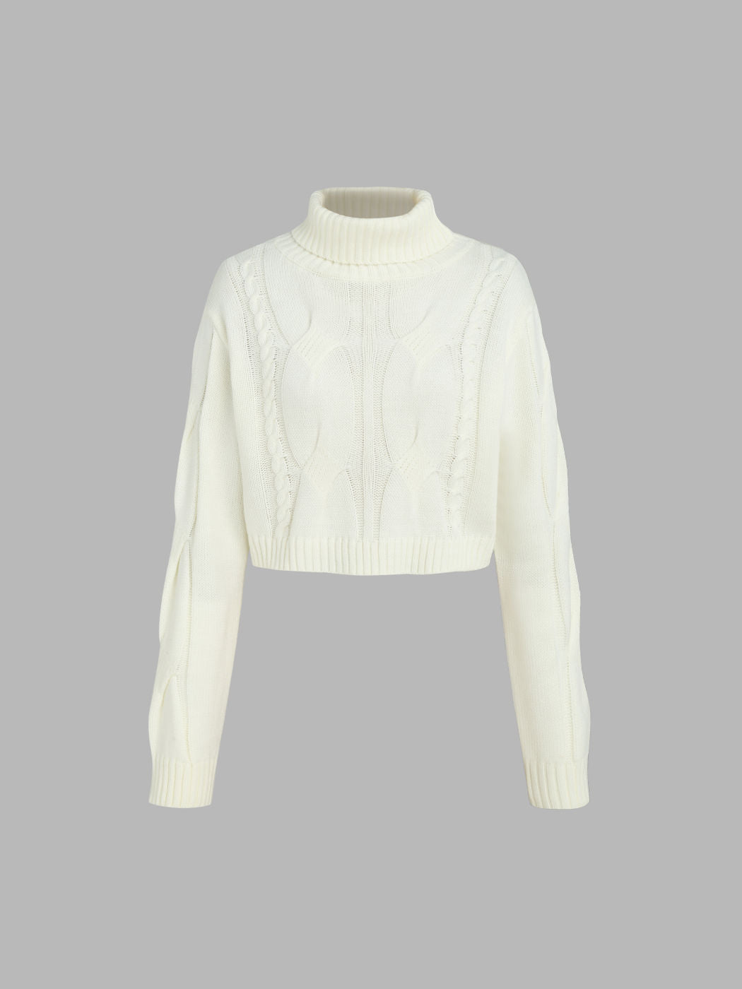 Solid Turtleneck Texture Knitted Crop Top