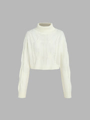Solid Turtleneck Texture Knitted Crop Top
