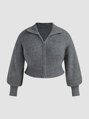 Solid Knit Polo Zipper Cardigan Curve & Plus