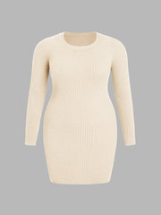 Knit Round Neck Long Sleeve Mini Dress Curve & Plus