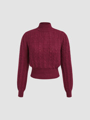 Wool-blend Cable Knit High Neck Solid Long Sleeve Top