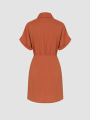 Collar Button Bowknot Mini Shirt Dress