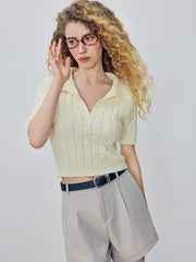 V-neck Knitted Crop Short Sleeve Top