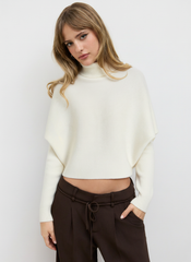 Solid Turtleneck Sweater