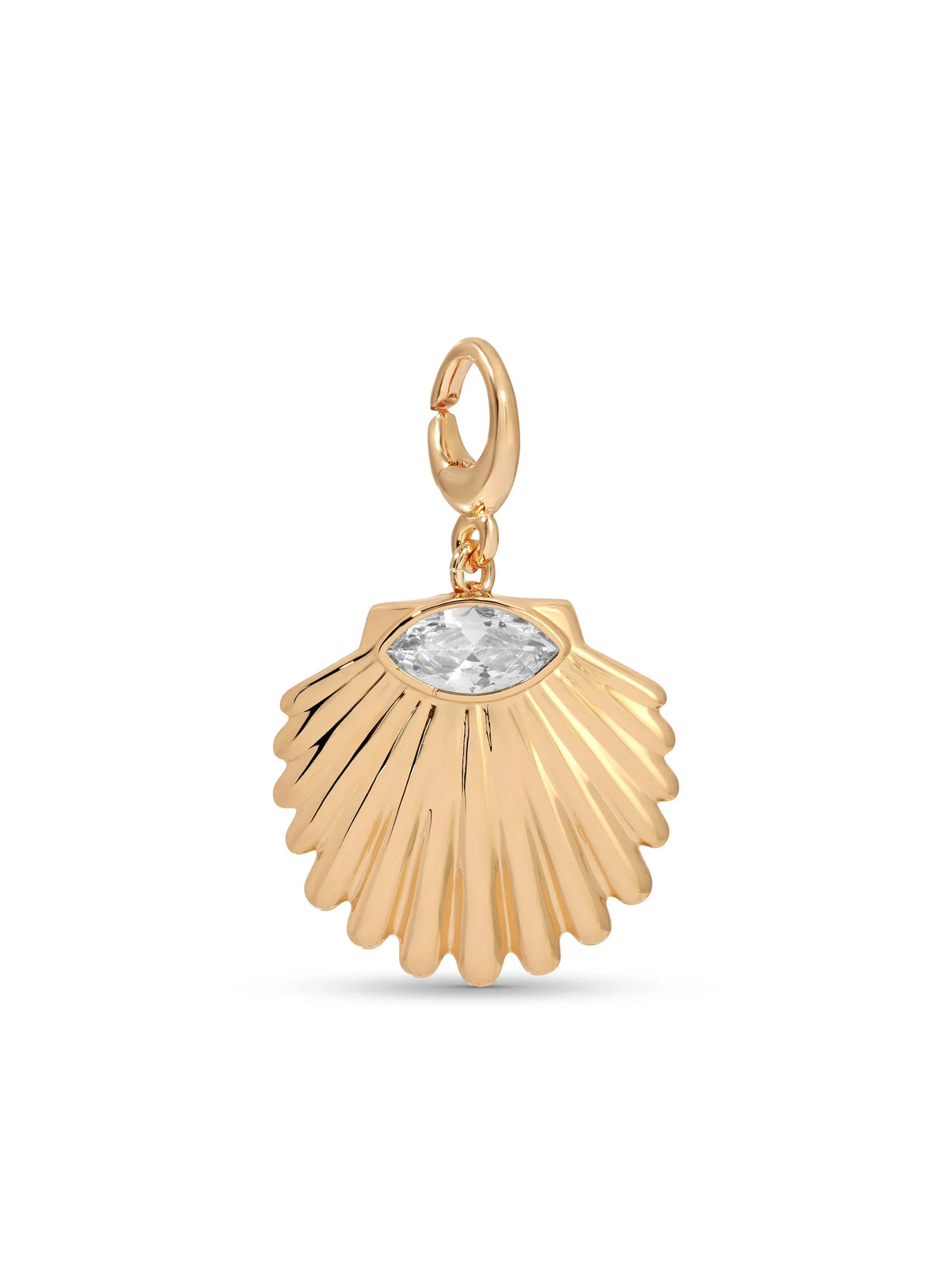 Shell Charm