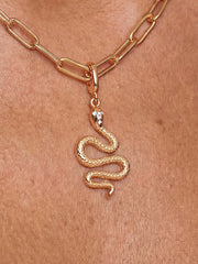 Snake Charm